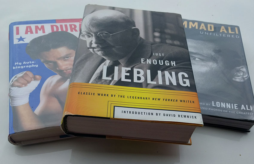 boxing book