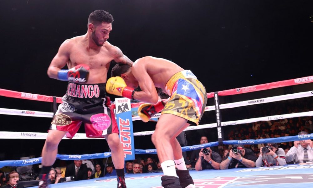 boxing Cancio
