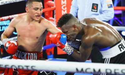 Fast-Results-from-the-Bubble-Flores-Blanks-Ruiz-Collard-Mauls-Kaminsky