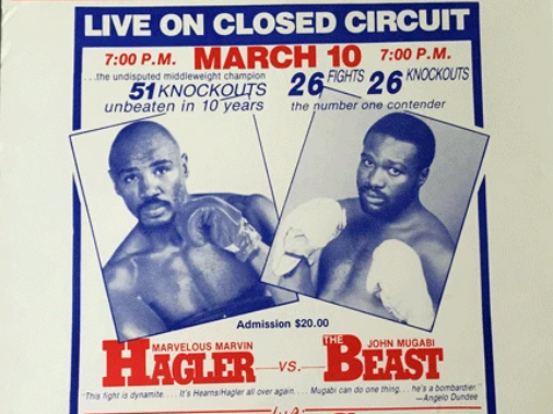 When-the-Beast-Ruled-Boxing-in-Tampa