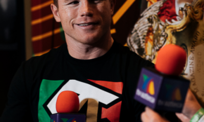 Avila-Perspective-Chap-125-Canelo-and-other-4-Division-Title-holders