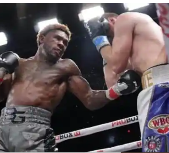 Light-Nips-Glanton-in-Florida-across-the-pond-Kelly-UD-12-Williamson-in-Newcastle