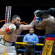 Swamp-King-Jonathan-Guidry-Vanquishes-Bermane-Stiverne-in-Miami