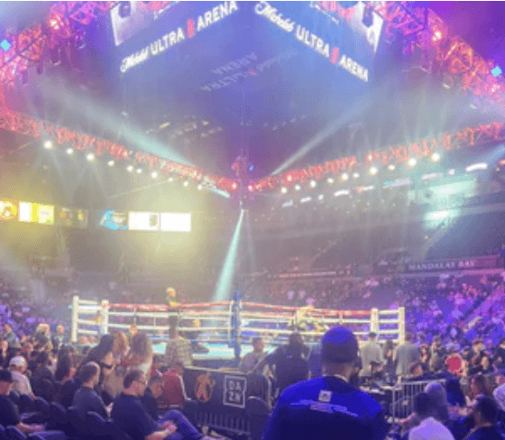 Avila-Perspective-Chap-292-Route-66-and-Great-Fights-at-Mandalay-Bay