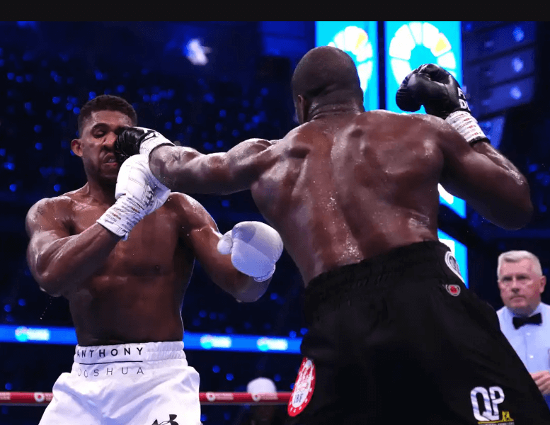 I-Still-Think-Anthony-Joshua-Should-Retire-from-Boxing