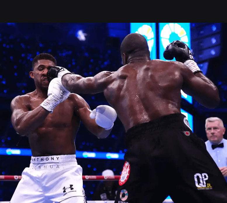 I-Still-Think-Anthony-Joshua-Should-Retire-from-Boxing