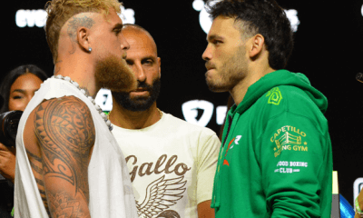 Avila-Perspective-Chap-332-Jake-Paul-vs-Chavez-Jr-plus-Mbilli-Deontay-and-More