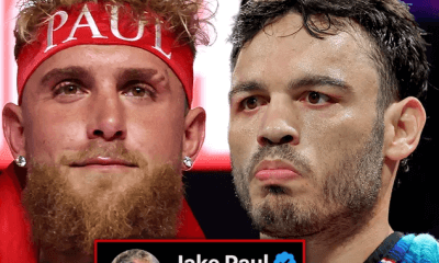Avila-Perspective-Chap-333-Jake-Paul-JC-Chavez-Jr-Zurdo-and-More