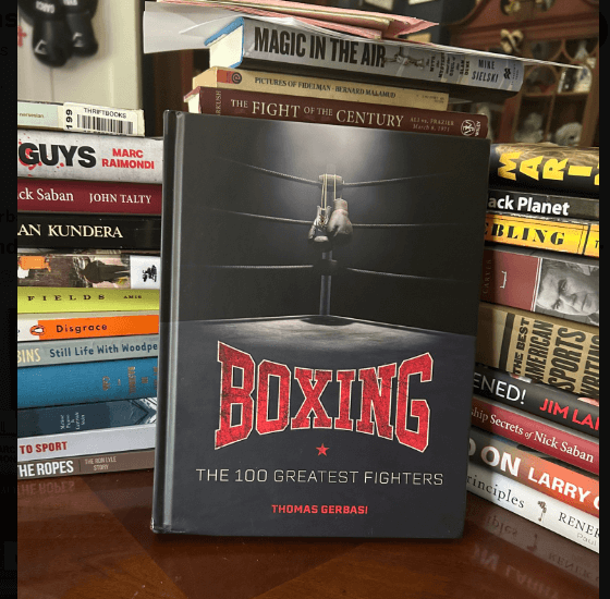 Avila-Perspective-Chap-341-The-100-greatest-Boxers-in-History-and-More