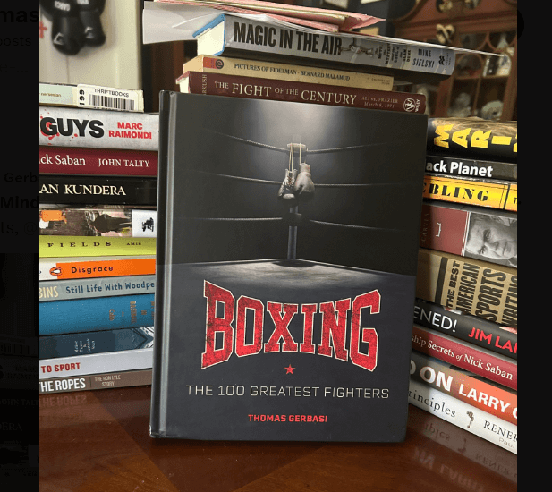 Avila-Perspective-Chap-341-The-100-greatest-Boxers-in-History-and-More