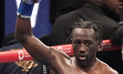 The-Hauser-Report-Does-the-Color-of-a-Fighter's-Gloves-Matter?