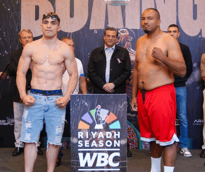 A Closer Look at the Eight Finalists in the WBC Grand Prix Tournament