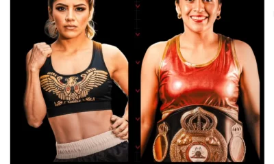 Avila Perspectice Chap 347 Saturday Boxing Marathons Muhammad Ali Act Revision.jpg