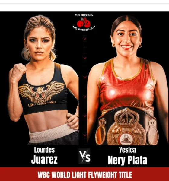 Avila Perspectice Chap 347 Saturday Boxing Marathons Muhammad Ali Act Revision.jpg