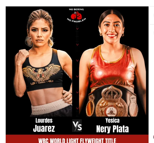 Avila Perspectice Chap 347 Saturday Boxing Marathons Muhammad Ali Act Revision.jpg