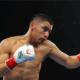 Results-and-Recaps-from-Texas-where-Vergil-Ortiz-Demolished-Erickson-Lubin