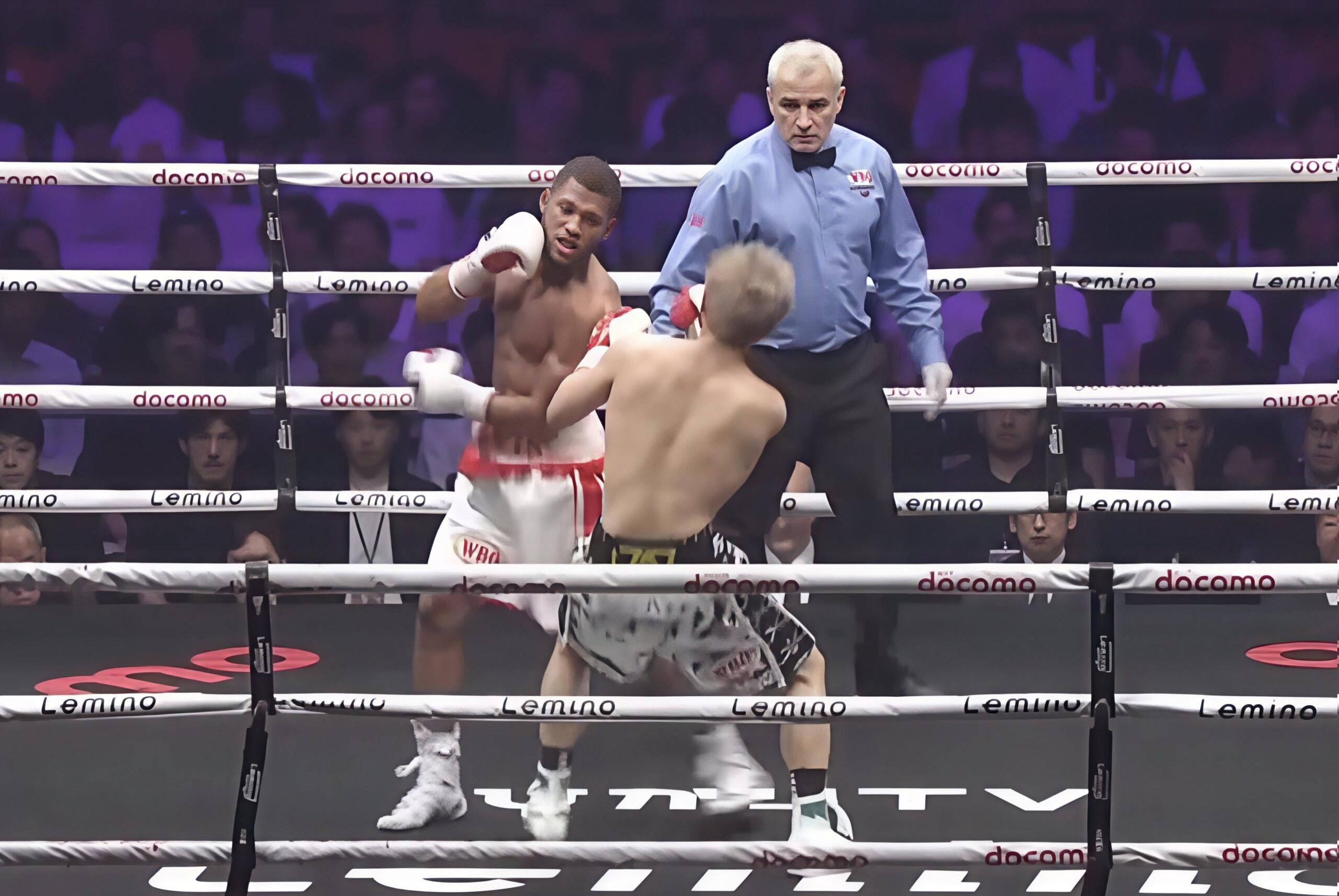 TSS 2025 KO of the Year.jpg