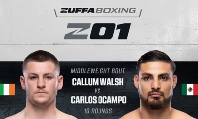 Avila Perspective Chap 361 Las Vegas is Back in Boxing ... and More.jpg